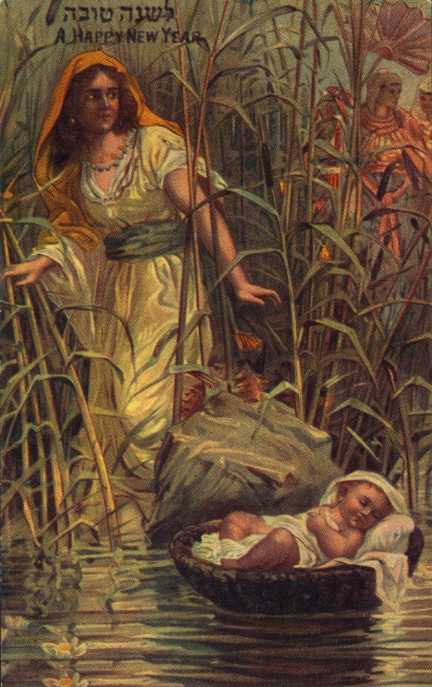 Miriam Follows Moses In Basket Fine Art Print by Science Source