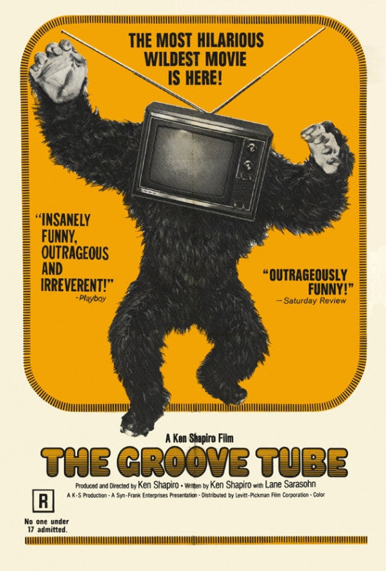 The Groove Tube Movie Poster Print (27x40) | Posterazzi