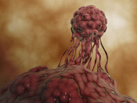 Microscopic Stem Cell Development Fine Art Print
