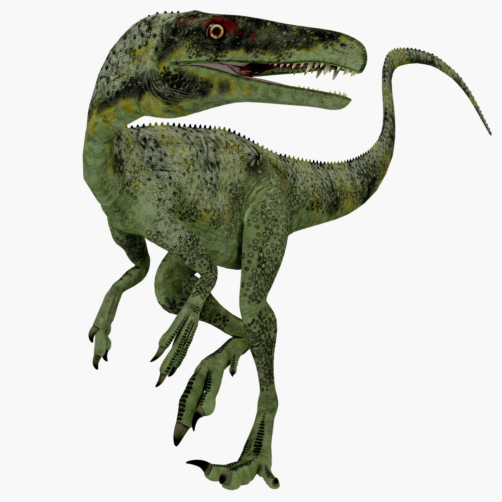 Juravenator Dinosaur Fine Art Print - Jurassic Period Poster