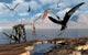 Quetzalcoatlus Flock Fine Art Print by Mark Stevenson