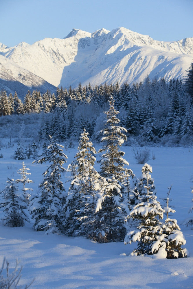 Chugach Mountains Scenic Winter Landscape Fine Art Print