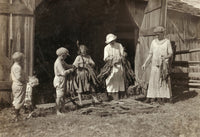 Kentucky Tobacco Farm Fine Art Print by Lewis Hine | Posterazzi
