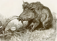 Battle of Verdun Propaganda Print - Boar Representing German Army