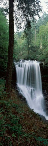 Dry Falls in Nantahala National Forest Photo Print by Panoramic Images