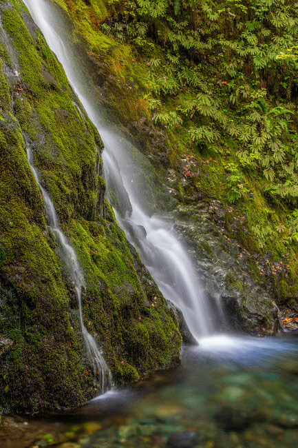 Madison Falls and Pool Fine Art Print by Jaynes Gallery - Olympic National Park