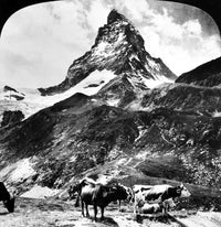 Switzerland Matterhorn Fine Art Print - Stereograph 1908