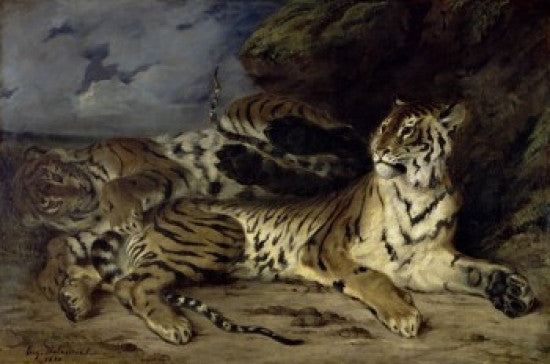 Young Tiger Playing with His Mother Fine Art Print by Eugene Delacroix