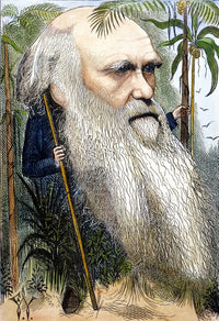 Charles Darwin Caricature Fine Art Print by Frederick Waddy