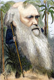 Charles Darwin Caricature Fine Art Print by Frederick Waddy