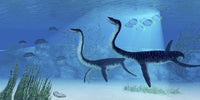 Plesiosaurus Swimming in the Jurassic Seas Fine Art Print