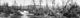 Belleau Wood Panoramic Photograph (1919) - Fine Art Print by Granger Collection