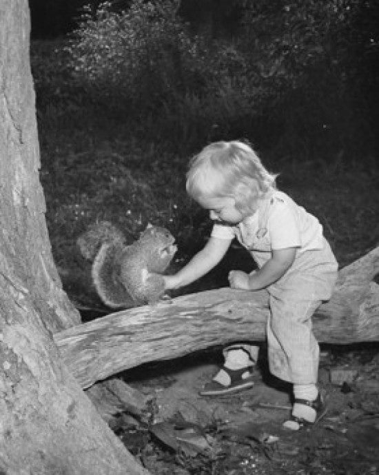 High Angle View of a Girl Feeding a Squirrel Fine Art Print