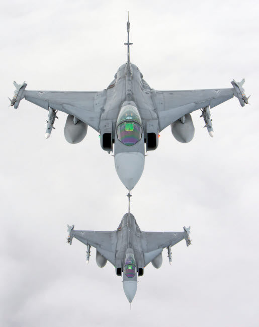 Hungarian Air Force JAS-39 Gripen Poster Print by Giovanni Colla
