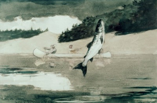 Flying Fish on Lake John, 1897 Fine Art Print by Winslow Homer
