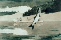 Flying Fish on Lake John, 1897 Fine Art Print by Winslow Homer
