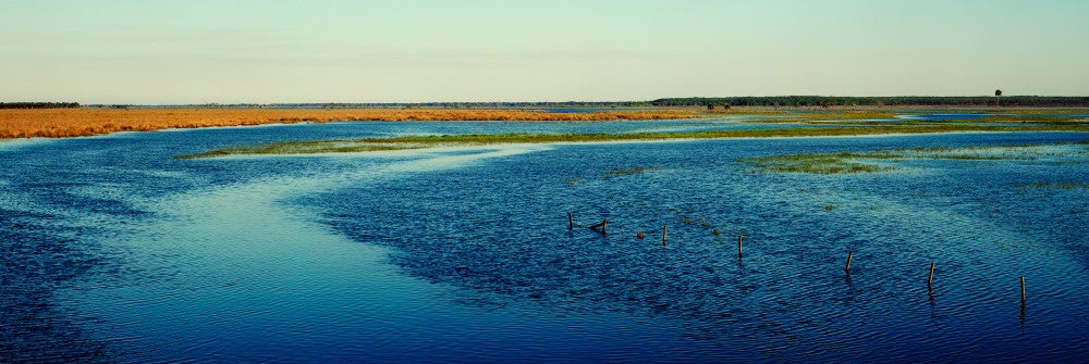 St. John's River Landscape Fine Art Print - Florida Poster