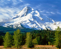 Mt. Hood and Upper Hood River Valley Fine Art Print by Panoramic Images