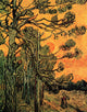 Pine Trees Against a Red Sky with Setting Sun Fine Art Print
