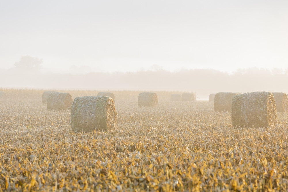 Hay Bales in Foggy Field Fine Art Print by Richard & Susan Day