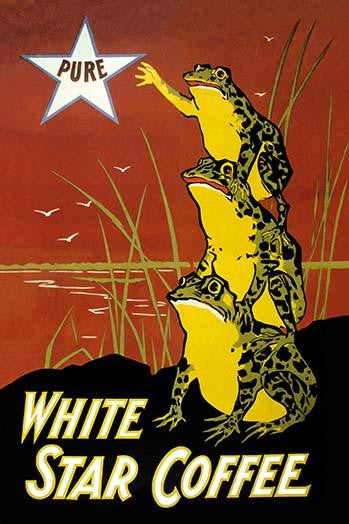 White Star Coffee Advertising Poster Print Featuring Frogs