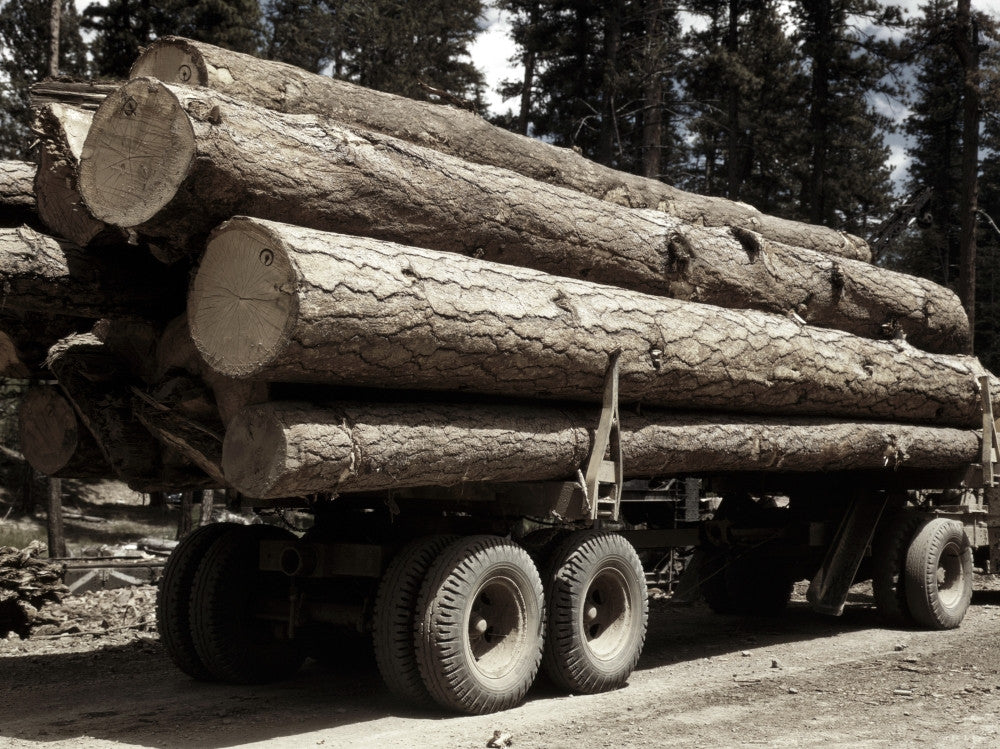 Oregon Lumber Truck Load Photograph by Russell Lee | Granger Collection