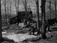 Farmers Gathering Sap with Horses Fine Art Print - New Hampshire