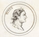 Titus Flavius Sabinus Vespasianus Poster Print - Roman Emperor Art