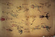 Battle of Little Bighorn Pictograph Art Print by Red Horse | Posterazzi