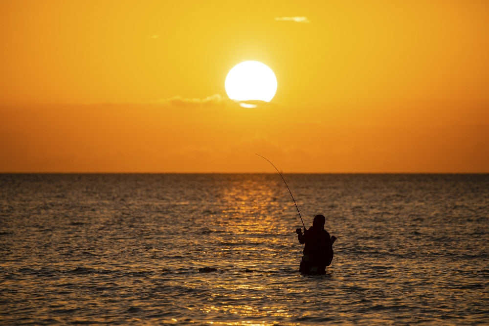 Saltwater Fishing in Laguna Madre at Sunrise Fine Art Print by Larry Ditto