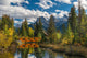 Bridge on Spring Creek Fine Art Print - Three Sisters, Canmore