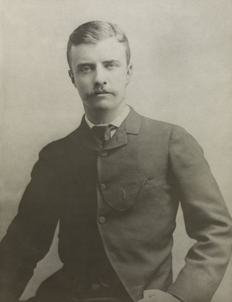 Theodore Roosevelt As An Assemblyman Historical Poster Print