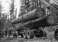 Oregon Logging Scene Fine Art Print by Russell Lee - 1942