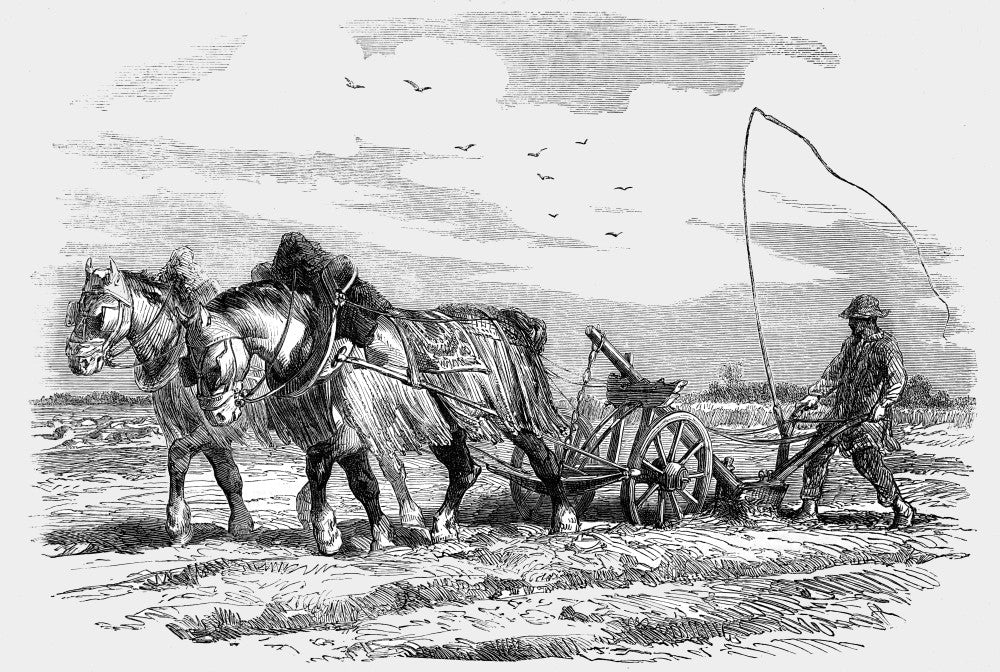 The Illustrated London News 1854 Etching - Ploughing in France by John Short