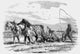 The Illustrated London News 1854 Etching - Ploughing in France by John Short