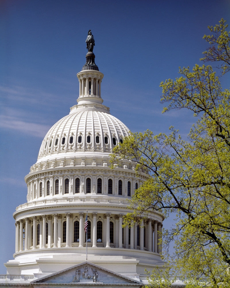 U.S. Capitol Dome Fine Art Print - Washington D.C. | Posterazzi