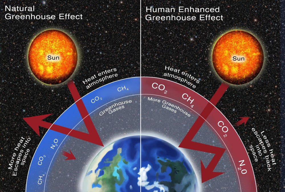 Greenhouse Gas Effect Fine Art Print by Science Source