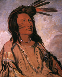 Sioux Chief: Tobacco Fine Art Print by George Catlin