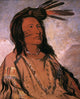 Sioux Chief: Tobacco Fine Art Print by George Catlin