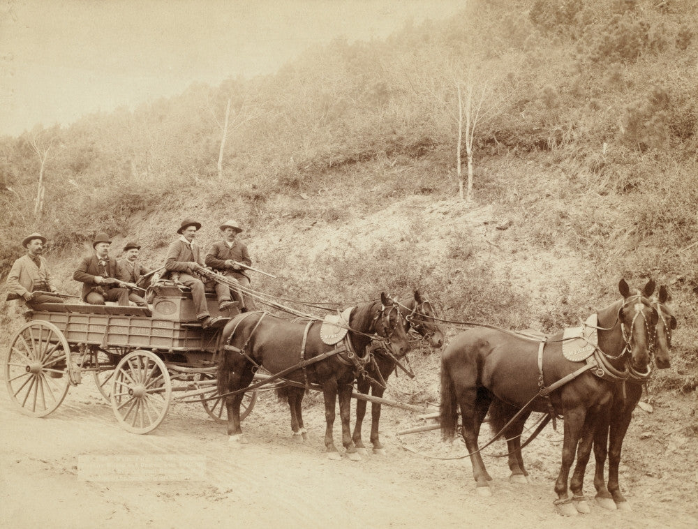 Wells Fargo Express Deadwood Treasure Wagon Photograph by John Grabill