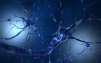 Conceptual Neuron Fine Art Print - Available in Multiple Sizes