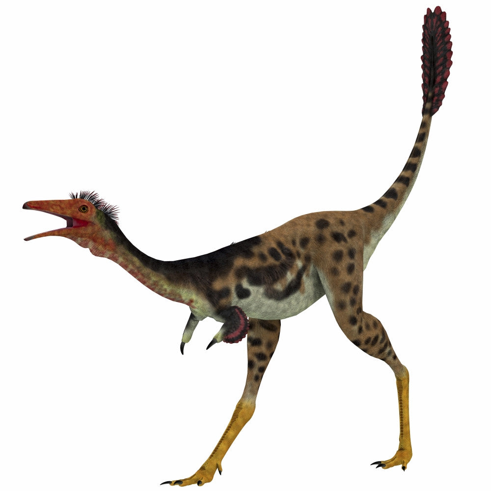 Mononykus Theropod Dinosaur Poster Print - Late Cretaceous Art