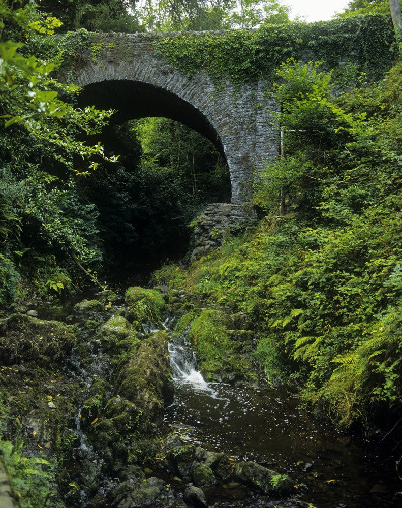 Low Angle View of Cromwell's Bridge Fine Art Print by The Irish Image Collection