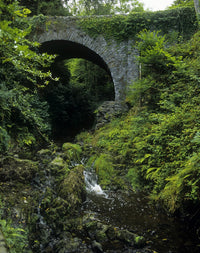 Low Angle View of Cromwell's Bridge Fine Art Print by The Irish Image Collection