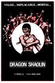 Dragon Shaolin Movie Poster - 11x17 Print