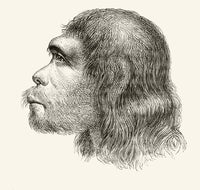 Head of a Neanderthal Man - 19th Century Fine Art Print
