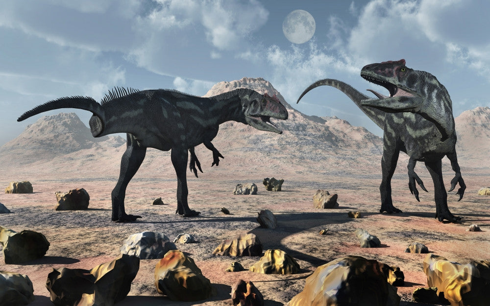 Allosaurus Dinosaurs Jurassic Period Fine Art Print by Mark Stevenson