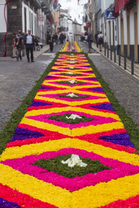 Festa Santo Christo dos Milagres Festival Fine Art Print by Walter Bibikow - Sao Miguel Island, Ponta Delgada, Portugal