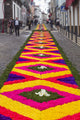 Festa Santo Christo dos Milagres Festival Fine Art Print by Walter Bibikow - Sao Miguel Island, Ponta Delgada, Portugal