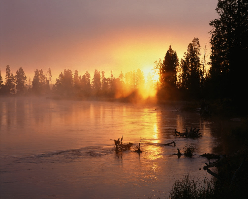 Oregon Deschutes National Forest Poster Print by John Barger